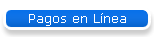 Pagos en L�nea