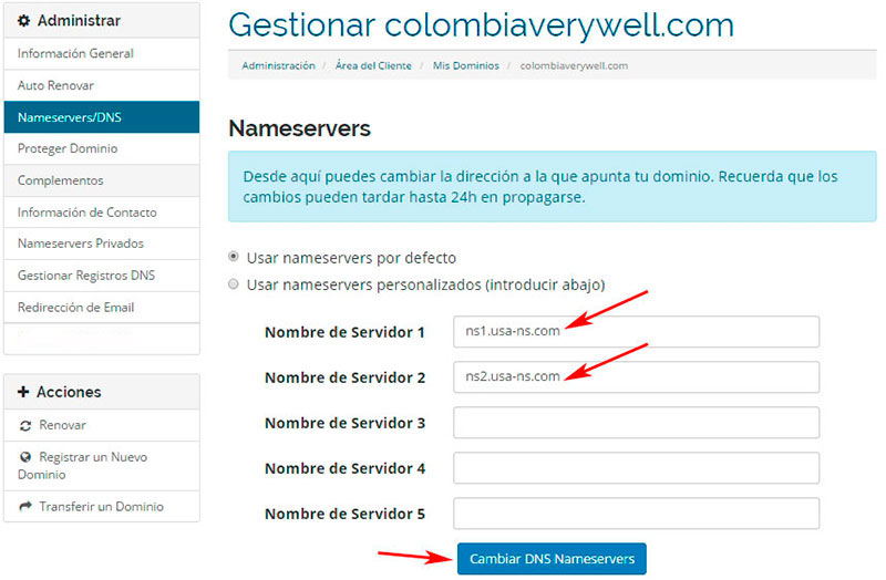 Cambiar DNS del dominio